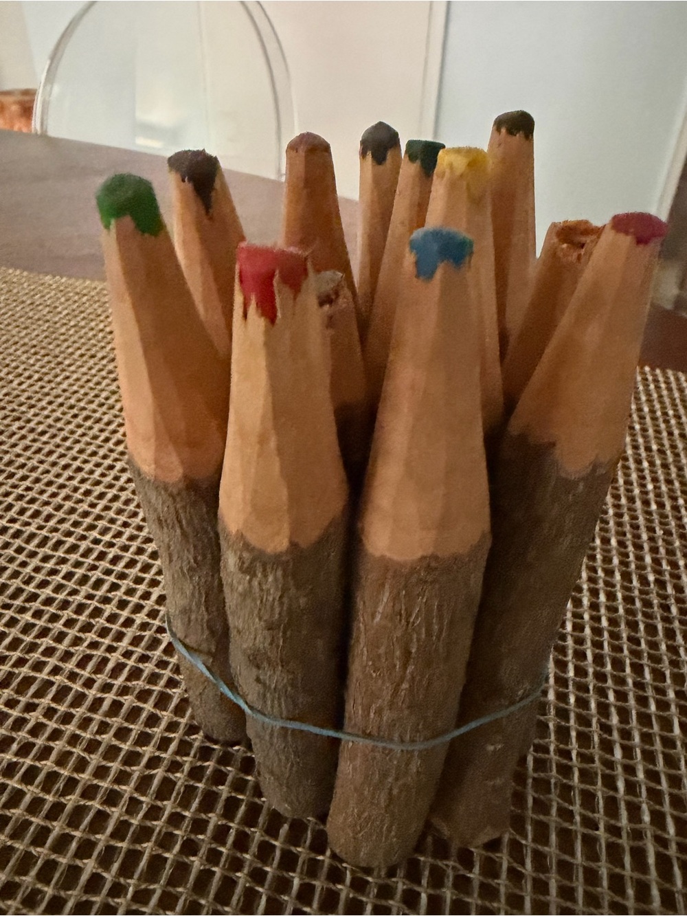 Rustic Log Colored Pencil Set - Multicolor